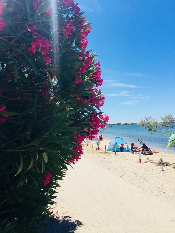 Milutinov Dvor Apartments Vrsi Bagian luar foto