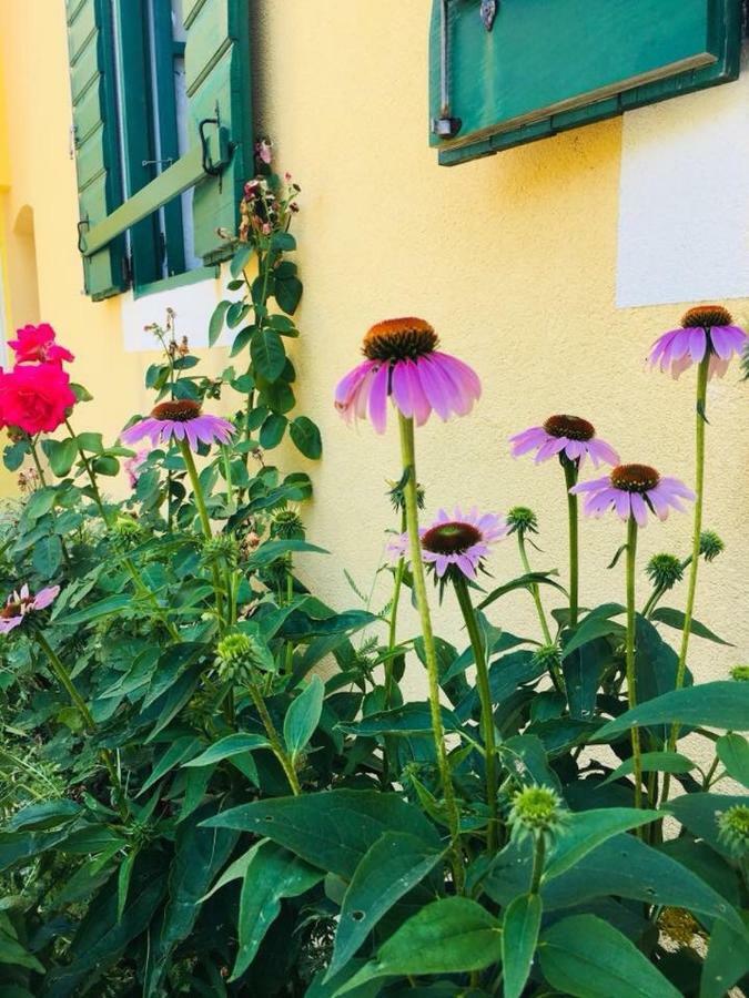 Milutinov Dvor Apartments Vrsi Bagian luar foto